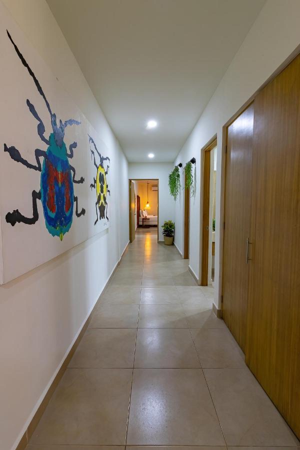 Elementus Tulum Διαμέρισμα Εξωτερικό φωτογραφία